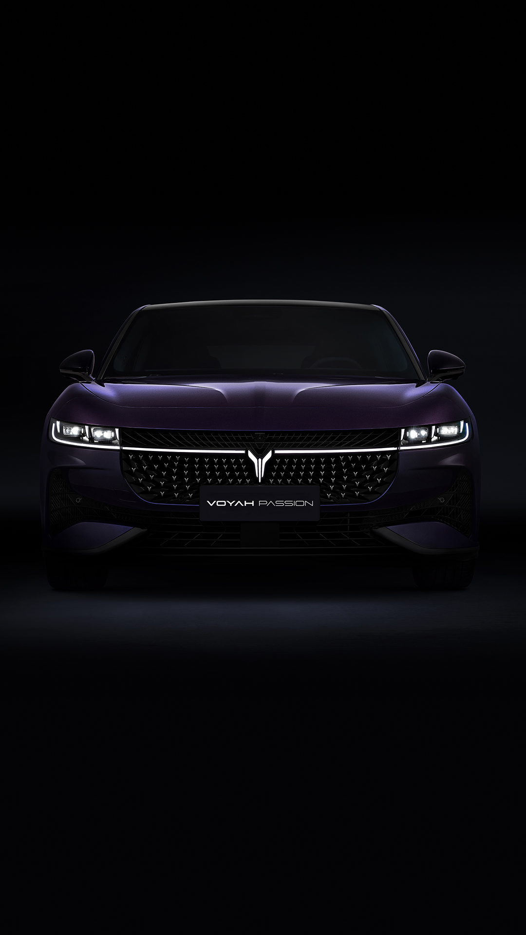 Новый VOYAH PASSION EVR в Панавто <br>Цена от 4 665 000 ₽